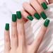 Semi Cured Gel Nail Strips 31 PCS Gel Nail Polish Stickers Wraps Adhesive Gel Nail Stickers with Nail File Stick and Sealing Strip(L) - Buy Online on GoSupps.com