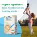 DANALAC Organic Oat Baby Cereal 200g - Sugar-Free Porridge for Babies 6 Months+ | Pack of 1 - Buy Online on GoSupps.com