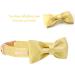Unique Style Paws Yellow Silk Dog Collar - Adjustable Soft Fly Collapsible Gift for Small Dogs - Buy Online on GoSupps.com