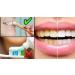 Organic Miswak Sticks for Teeth - Natural Chewing Sticks | Pack of 12 | Cleaning Disinfecting & Whitening - Buy Online on GoSupps.com