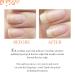 Nail Tek Foundation 2 Ridge Filling Base Coat 0.5 oz - Strengthen Soft & Peeling Nails - Buy Online on GoSupps.com