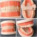 Buy Toyandona Educational Tooth Models for Kids | 3D Puzzles & Toy Sets for Brushing Teeth | Enhance Learning with Kidcraft Games - Buy Online on GoSupps.com
