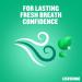 Listerine Essentials Fresh Burst Mouthwash 250ml - Pack of 1 - Buy Online on GoSupps.com