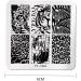 Nail Stamping Plate - Fashion Animal Pattern Leopard Stamp Template | Nail Art Tool for Stunning Designs - Buy Online on GoSupps.com