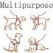 Double Dog Lead for Walking 2 Dogs No Tangle No Tangle Double Dog Distributor Lead with Adjustable Length Buckle Double Dog for Dog Lead for Small Medium and Large Pet (Black) - Buy Online on GoSupps.com