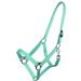 NetProShop Halter & Lead Rope - Turquoise for Mini Shetty to XL Full Size Pony - Buy Online on GoSupps.com