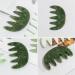 Buy Nolitoy Green Jade Scalp Massage Comb | Gua Sha Hairbrush & Acupuncture Tool for Men & Women - International Shipping - Buy Online on GoSupps.com