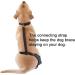 Dog Knee Brace for Hind and Rear Leg Knee Brace for Dog Support for Dog ACL CCL Cruciate Ligament Injury Joint Pain and Muscle Sore(XL/Right) - Buy Online on GoSupps.com