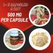 Canadian Vita Ginseng Supplement Capsules - Pure Ginseng Root Powder - Energy/Immunity/Focus/Stress Relief - 500 mg/Capsule - Buy Online on GoSupps.com