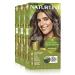 Natureint Biobased |Hair color oohne ammoniak |6n dark blonde |High proportion of natural ingredients3 pack |510 ml 6n.Dark blonde 170 ml (3 pack)