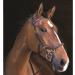 Buy Horseware Rambo Micklem Multibridle 3 in 1 - Selectable Sizes & Colors (Brown COB) - International Shipping Available - Buy Online on GoSupps.com