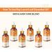 BEMT Bay Laurel Leaf Essential Oil (Laurus nobilis) 100% Pure & Natural Undiluted Organic Standard Quality for Aromatic Skin & Hair Care Use 15ml with Dropper - Buy Online on GoSupps.com