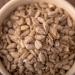 Bio Sunflower Seeds Maxipack 5 kg - Premium Quality Untreated Salt-Free | S ssundclever.de | Eco-Friendly Packaging - Buy Online on GoSupps.com
