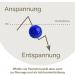 2x DBT Skills Hedgehog Ball - Magnetic High Stress Acupressure Ball for Stress Relief Massage & Enhanced Mobility - Blue Matt 47mm - Buy Online on GoSupps.com
