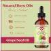 Natural Born Oils Grape Seed Oil 8 oz Organic Cold Pressed Antioxidant Rich Skin Hydration Hair Shine Enhancer - Buy Online on GoSupps.com