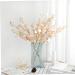 Zerodeko 2 Pcs Fake Eucalyptus Faux Branches Wedding Eucalyptus Leaf Eucalyptus Flower Arrangement Desk Wedding Washi Tape Green Decor Home Decor Artificial Eucalyptus Leaf Paris With Fruit Light Pinkx2pcs 72 5cmx2pcs - Buy Online on GoSupps.com