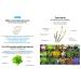 Buy The Plant Base AC Clear Magic Gel 30ml | CICA Trouble Gel with 78% Centella Asiatica | Korean Skincare for Spot Treatment | International Shipping - Buy Online on GoSupps.com