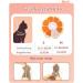 Supet Rewriter Cat Adjustable Hen Collar - Post-Surgery Recovery Cone (Grapefruit) | Comfortable Healing Solution for Cats (Neck: 14-23cm) - Buy Online on GoSupps.com
