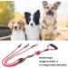 3 in 1 Dog Leashes with Adjustable Detachable Coupler 3 Way Dog Leash Durable Strong Nylon Long Line Dog Leads with Padded Handle for One Two Three Dogs Pet Walking Hiking - Buy Online on GoSupps.com