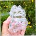 Anneome 2pcs Vegetable Shaping Mold Fruit Cucumber Shaping Molds Adorable Melon Mold Watermelon Pumpkin - Buy Online on GoSupps.com