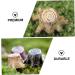 Gogogmee 12pcs Small Stump Stool Terrarium Decor Mini Garden Figurines Root Stump Ornament Retro Decor Resin - Buy Online on GoSupps.com