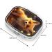 Cute Fox 2 Compartment Small Pill Case | Travel Pill Organizer & Purse Pill Box - Ideal Gifts - Buy Online on GoSupps.com