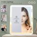 Eighosee Travel Vanity Mirror Lights Travel Lighted with 10X Magnifying Mirror 3 Color Lighting Accessories for Women - Buy Online on GoSupps.com
