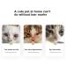 Professional Tear Stain Remover Powder & Applicator Brush for Dogs & Cats | Eye Care Comb for Pet Tear Stains - Buy Online on GoSupps.com
