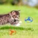 Colorful Flying Propeller Cat Toy Set with Launcher - Interactive Exercising and Training Discs for Hunting and Batting - Buy Online on GoSupps.com