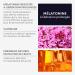 Mium Lab - Sommeil brevet 8h lib ration prolong e - Anti-r veils nocturnes & Endormissement - M latonine brevet e - co-recharge 42 gummies - Gummies Sans Sucres - Fabriqu en France 1 co-recharge 8h lib ration prolong e - Buy Online on GoSupps.com