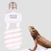 Dernord UVB and UVA Light Bulb 10.0 - 23W Compact Lamp for Lizard Leopard Gecko Turtle & Snake - Optimal UV Light for Reptile Care - Buy Online on GoSupps.com