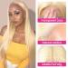 Ali Panda HD 613 Blonde Straight Lace Front Human Hair Wig 16 - 150% Density T-Part Blonde 613 Wig for Black Women - with Baby Hair - Pack of 1 - Buy Online on GoSupps.com