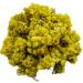 AgoraMarket Dried Helichrysum Immortelle Eternal Flowers 85g 195Kg 1950 grams - Buy Online on GoSupps.com