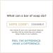 Soapbox Oat Milk & Chai Moisturizing Body Lotion 16oz 3 Pack | Shea Butter & Almond Oil | Paraben Free, Cruelty Free, Vegan | Made in USA - Buy Online on GoSupps.com