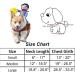 T2Y Cowboy Rider Dog Costume - Halloween Knight Style Clothes for Medium and Large Dogs with Doll and Hat - Buy Online on GoSupps.com