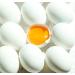 BENAM R Benam r Nata Nourishing Lip Balm with Shea Butter Argan Oil Aloe Vera - Lip Care with a Gourmet Scent - 99% Natural - Paraben-Free - 12ml Tin - Buy Online on GoSupps.com