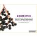 Zarbee's Black Elderberry Immune Support - 8 fl oz | Best Natural Defense - Buy Online on GoSupps.com