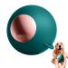 Washable gel foot roller Ball for animal hair travel foot roller Mini reusable sticky animal hair remover fluff removal tool reusable and washable green