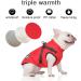 Waterproof Dog Coat for Small Dogs - French Bulldog Warm Vest with Harness - XS Red - Shop Now! - Buy Online on GoSupps.com