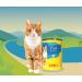 Josicat Fish in Sauce (12 x 415 g) | Premium Wet Cat Food with Vitamin D3 | Adult Cat Sole Feed by Josera - Buy Online on GoSupps.com