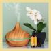 Focus Essential Oil Blend - Mint and Citrus Aromatherapy for Energy and Attention Support - Buy Online on GoSupps.com