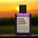 Divine Orange Blossom - Signature Non-Alcoholic Perfume for Men & Women | Spicy Floral Woody Fragrances | Long Lasting Arabian Perfumes 1.69 Fl. Oz. - Buy Online on GoSupps.com