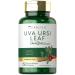Carlyle Uva Ursi Capsules | 1440mg | 150 Count | Herbal Leaf Extract | Non-GMO | Gluten Free Supplement