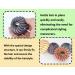 Zooetway Vintage Bird's Nest Hair Clips - Set of 4 Non-Slip Accessories for Women & Girls | Big Hair Grippers - Buy Online on GoSupps.com