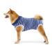Cobee Dog Recovery Suit dog abdominal protection puppies wound after the operation for males/bitches pet surgical cuddly suit after the operation for small medium-sized dogs (L-size)