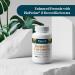 Pattern Wellness Turmeric Curcumin 1300mg - Joint Health & Cognitive Support - 60 Capsules - Buy Online on GoSupps.com