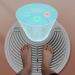 Hair Dryer Body Dryer Heating and Cooling Gravity Sensing Quick Air Drying Negative Ion Full Body Dryer Foot Dryer with 2 Gears Adjustment for Home and Bathroom - Buy Online on GoSupps.com