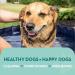 The Healthy Dog Co - Plaque Off Dogs - Natural Dog Breath Freshener - Reduce Plaque Buildup for Cats - Dog Dental Care Formula - Dog Teeth Cleaning Easier to Use than Dog Toothpaste - 100g - Buy Online on GoSupps.com