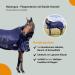 Marengos Flying Ceiling for Horses | Elastic Neck | Insect Protection | Close-Meshed Eczema Blanket | Night Blue 145 cm | Outdoor Horse Gear - Buy Online on GoSupps.com