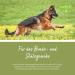 Tierlieb Joint Friend Dog Capsules - Calcium Magnesium Glucosamine & Chondroitin - 130 Count | Improve Your Dog's Joint Health - International Shipping Available - Buy Online on GoSupps.com